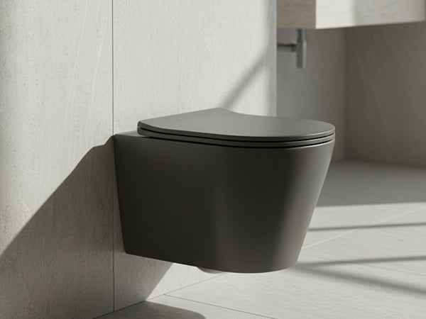 Emperor Black (CWH-509)