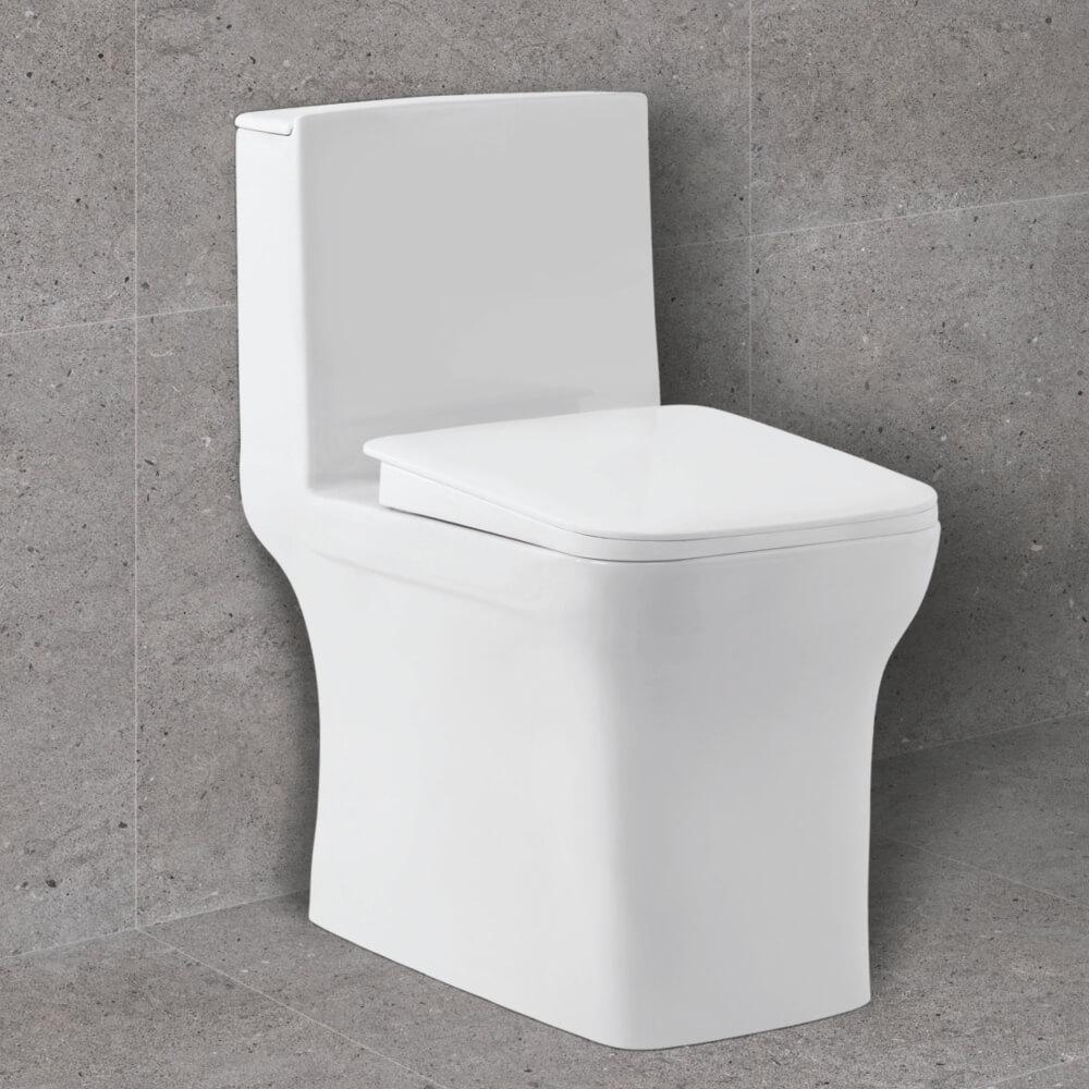 STONEX ONE PIECE CLOSET - Radon India-- STONEX ONE PIECE CLOSET-  Radon India