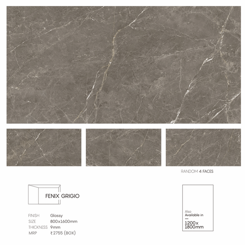 FENIX GRIGIO - Radon India-- FENIX GRIGIO-  Radon India