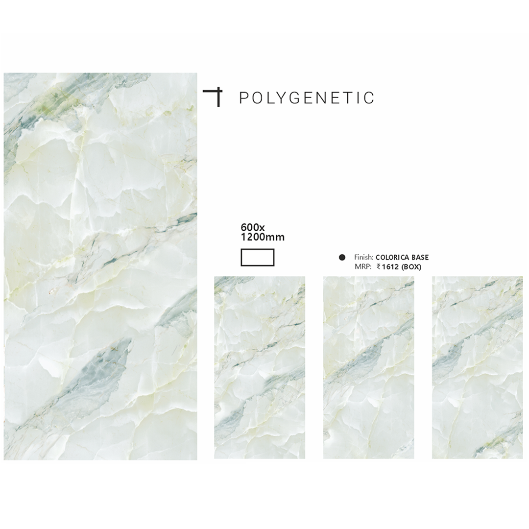 POLYGENETIC - Radon India-- POLYGENETIC-  Radon India